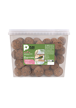 Boules de graisse : Fruits & Arachides