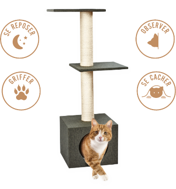 Pour les espaces moyens