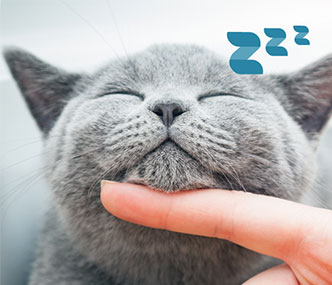<p>BIEN-ÊTRE &<br />
conseils du moment</p>
