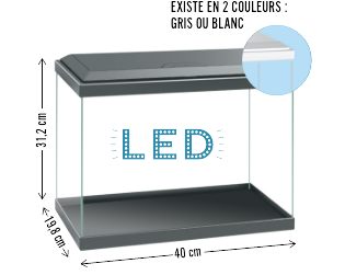 Fresh 40 LED