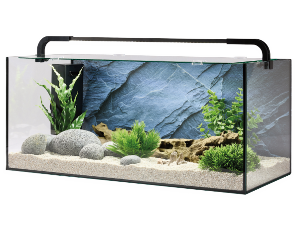 Abysse Aquarium