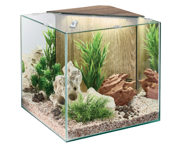 Stella Aquarium